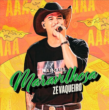 Capa-Maravilhosa